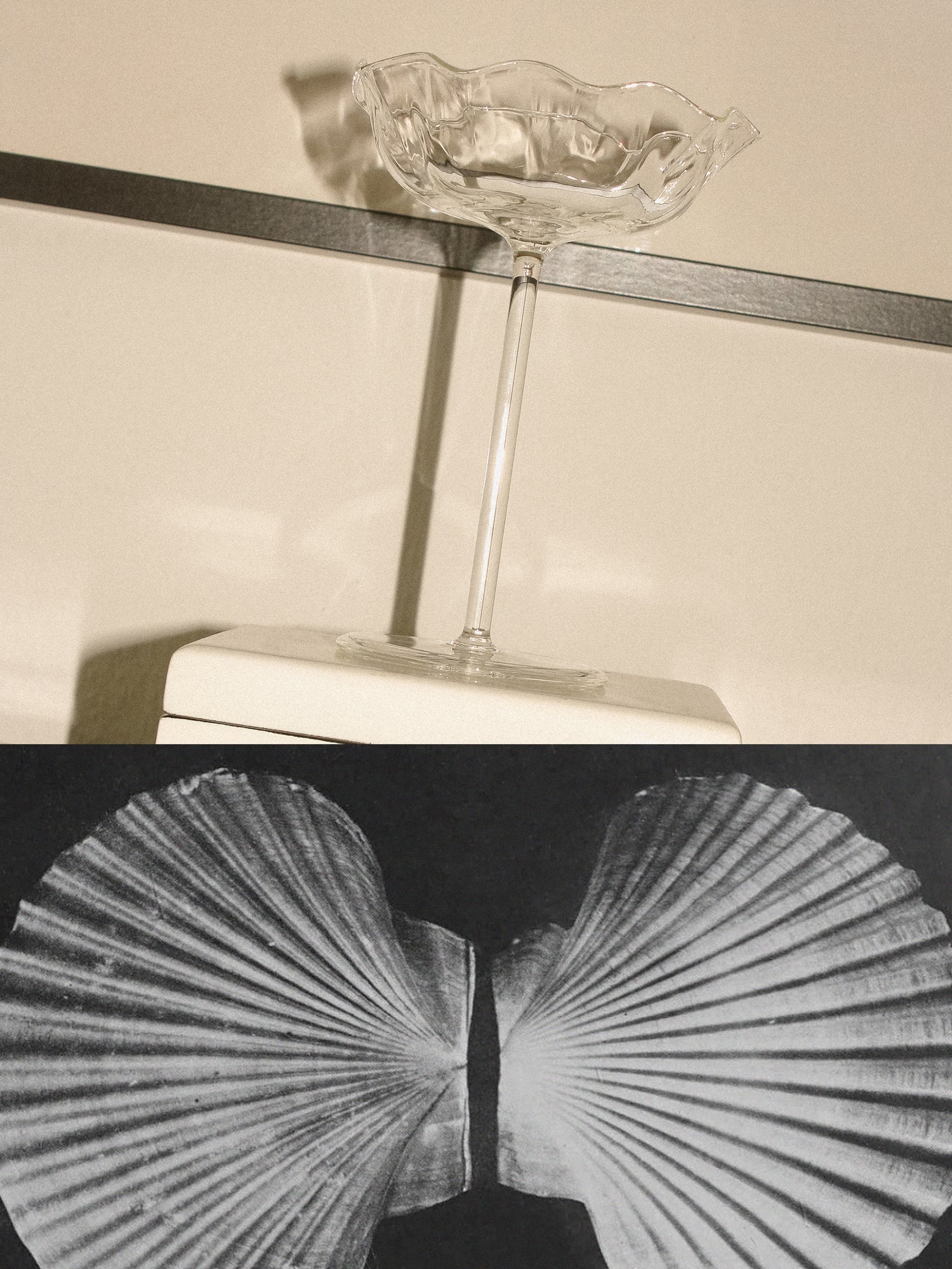 explore handblown champagne coupes