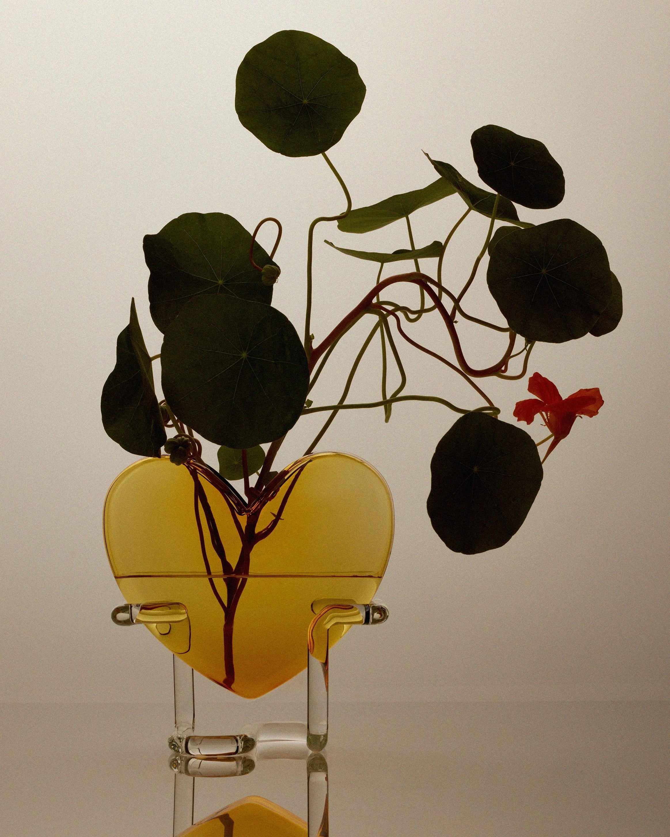 explore handblown glass vases