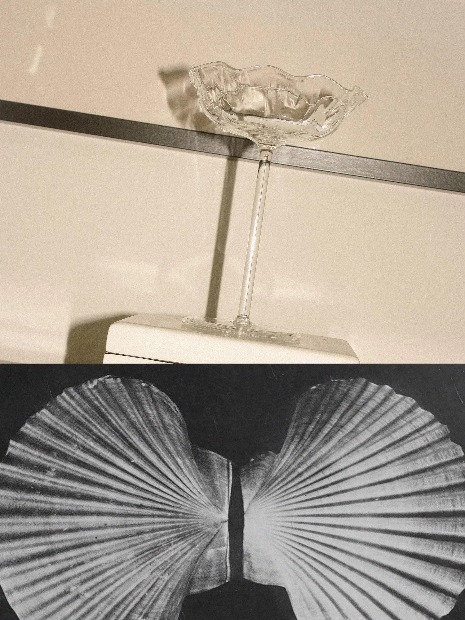 Empty champagne glass on a stand with a white background, showing a black and white image of a shell below.